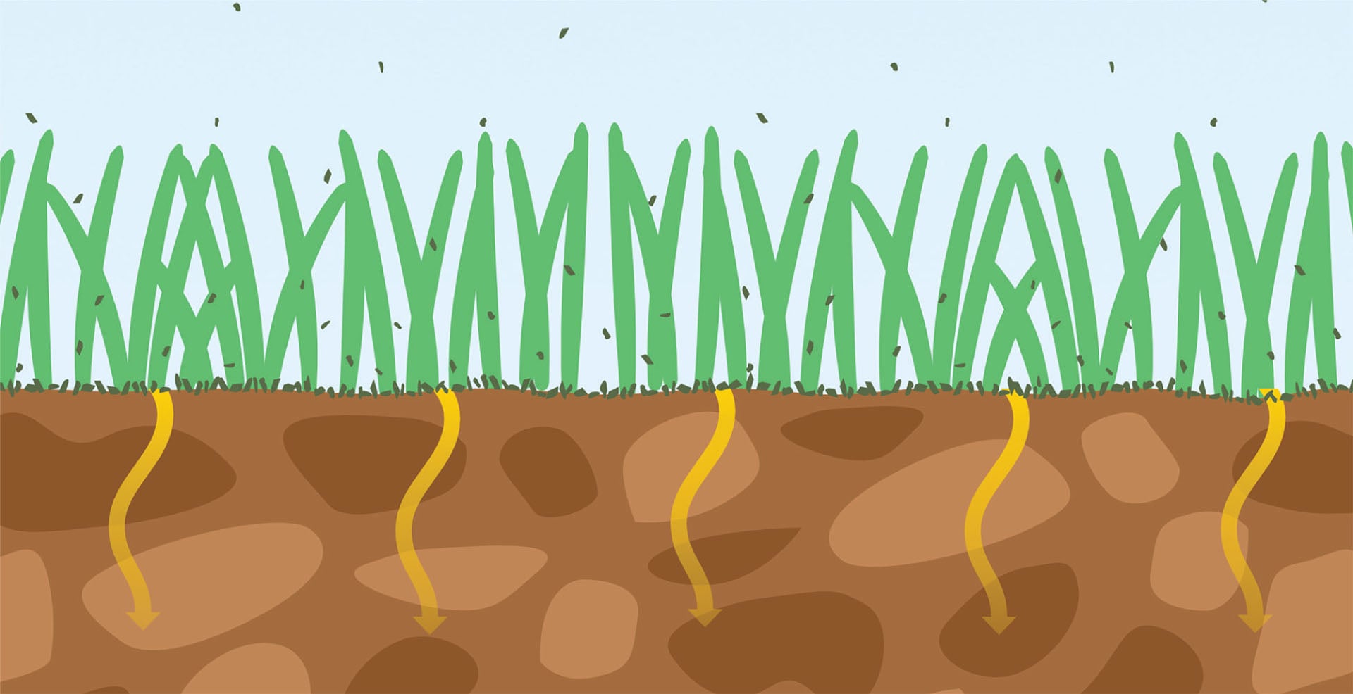 Système de coupe GRIN 2