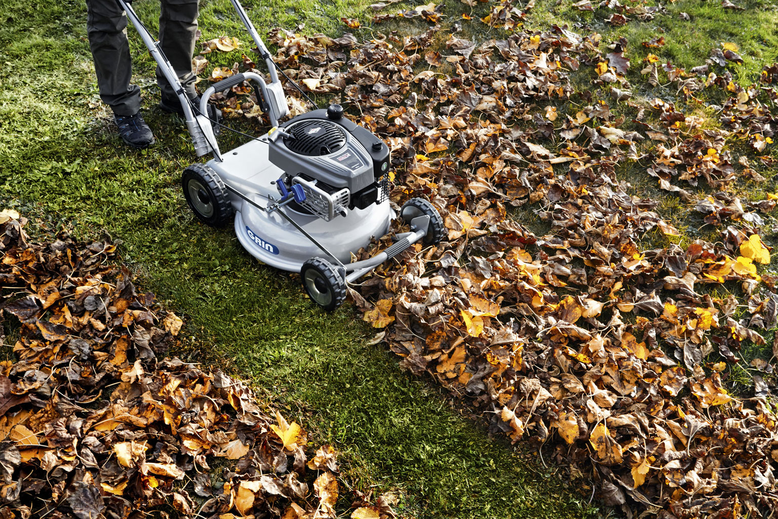 Dépoussiérer les feuilles